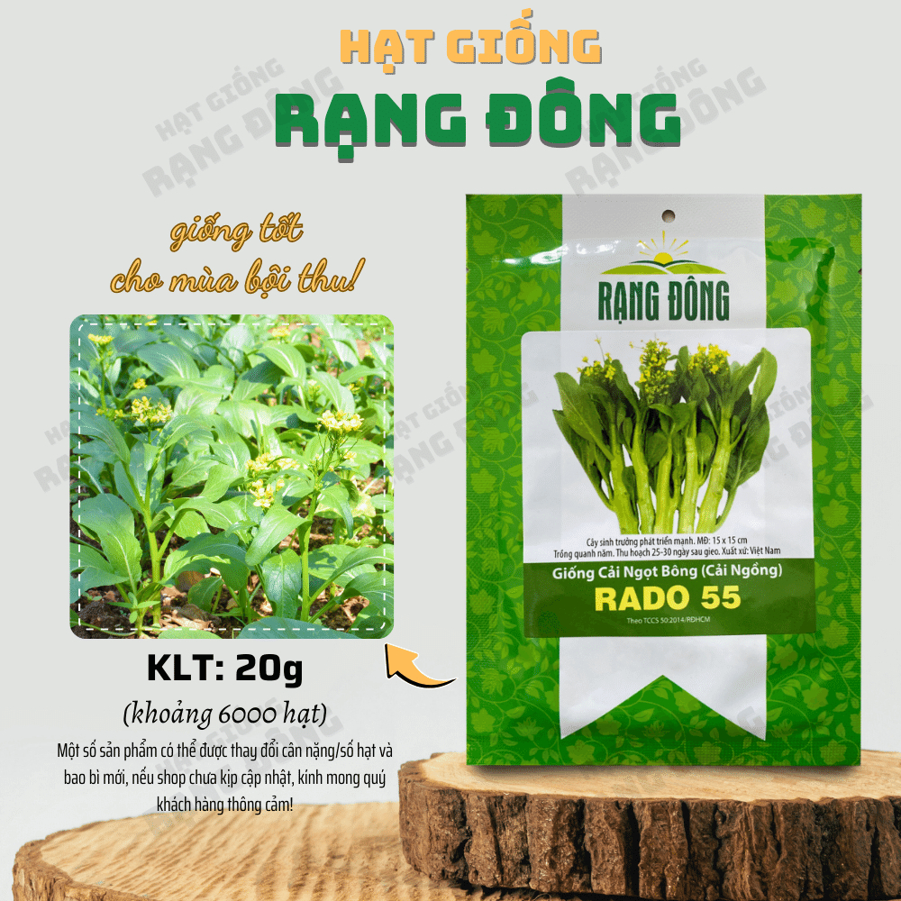 Hạt giống rau cải ngọt bông Rado 55 (Cải ngồng)