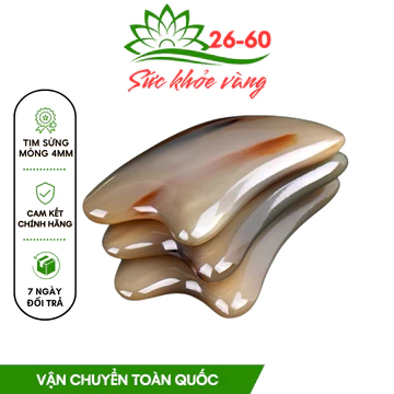 Tim Sừng Dụng Cụ Mát Xa Nâng Cơ, Chống Lão Hoá Cạo Gió - Dụng Cụ Diện Chẩn