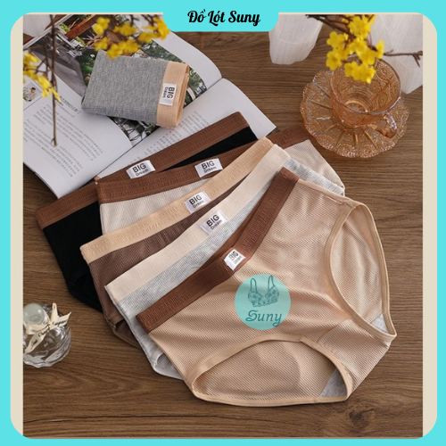 Quần lót cotton, Quần Lót BIG chất cotton tăm co giãn kháng khuẩn