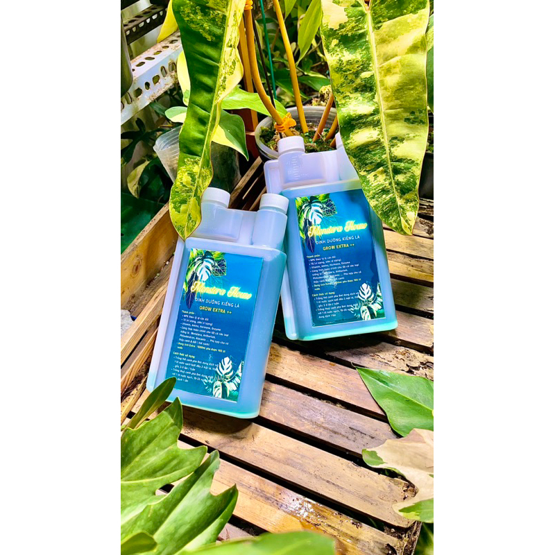 Combo 3 chai dinh dưỡng kiểng lá Grow Extra+  , phân bón lá , dung dịch thuỷ canh