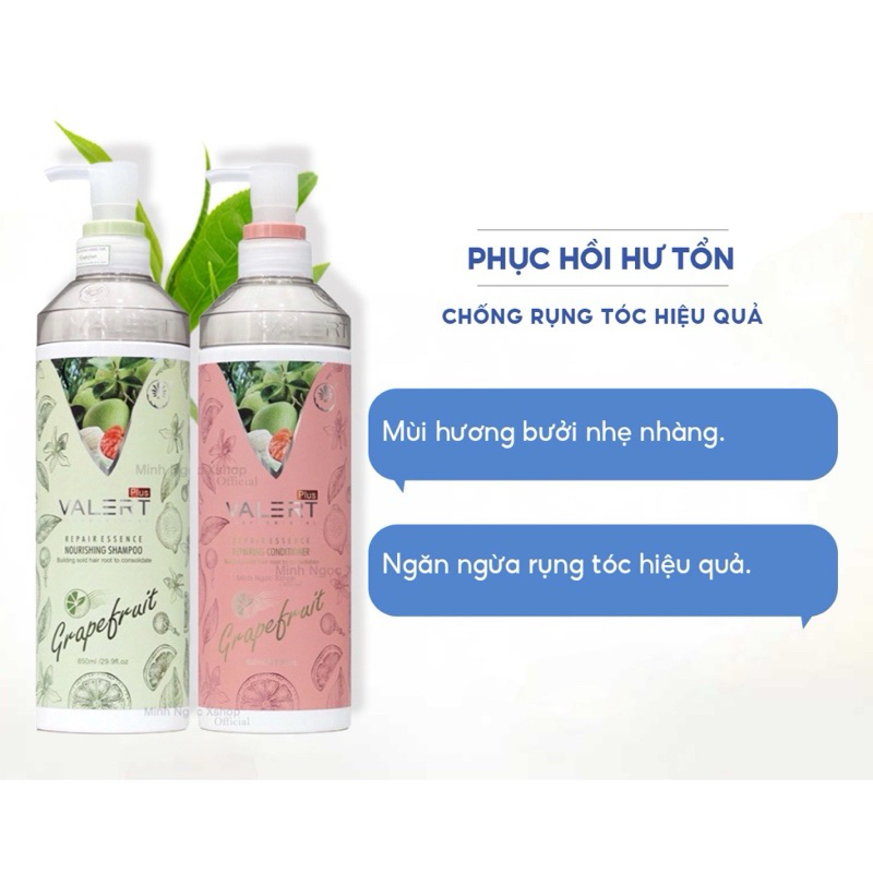 Dầu gội xả bưởi Valert Grapefruit 850ML phục hồi, chống rụng kích mọc ...