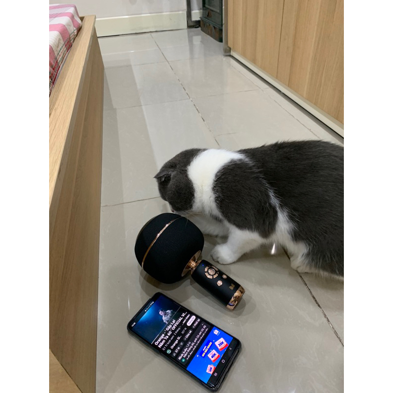 [ Đáng Từng Đồng ] Micro Karaoke Khiêm Loa Chính Hãng Monster M97 - Bluetooth 5.0 - TWS
