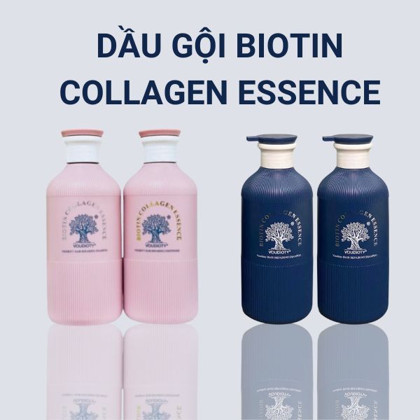 Dầu gội biotin collagen, dầu gội biotin collagen essence bóng mượt ...