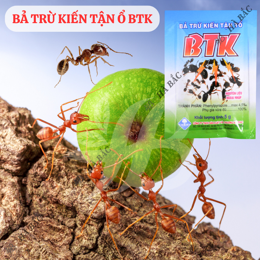 Thuốc trừ kiến, bả diệt kiến, bả trừ kiến tận gốc BTK (gói 5gram) - Siêu hiệu quả, an toàn sử dụng