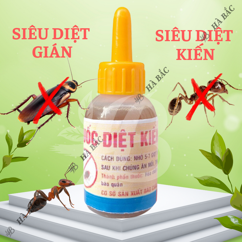 Thuốc Diệt Kiến Gián Sinh Học tận gốc, an toàn, không độc hại (chai 10ml)