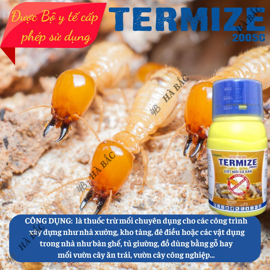 Thuốc diệt mối thế hệ mới Termize 200SC (50ml) Hợp Trí - Diệt mối cả đàn, dùng trong nhà, công trình, an toàn khi dùng