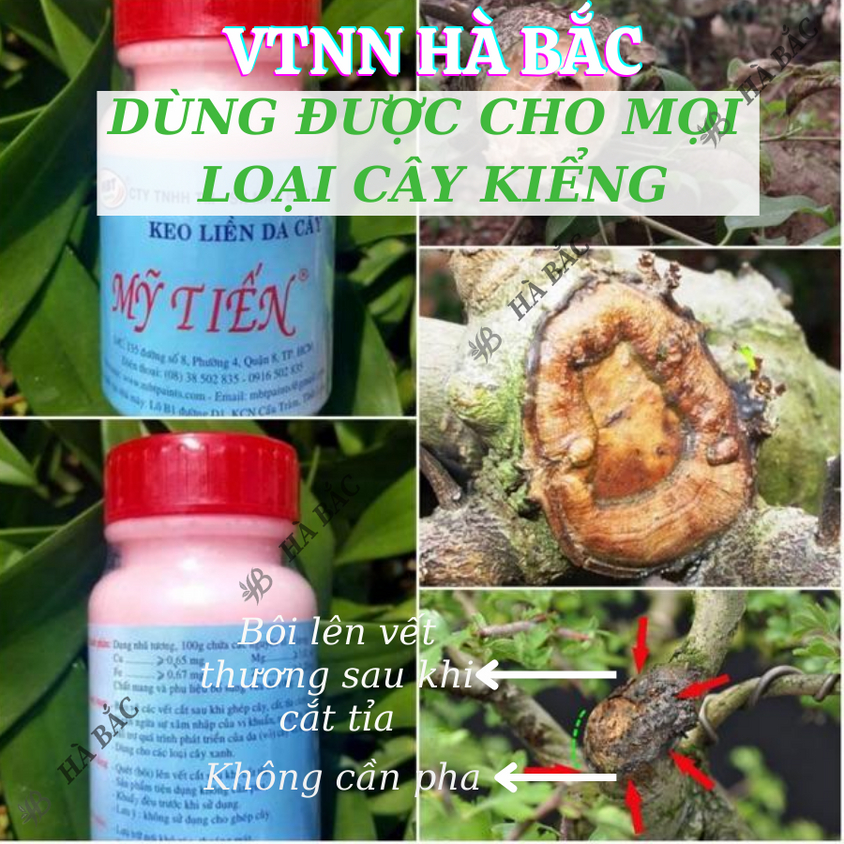 Keo liền da cây - keo liền sẹo - thuốc hỗ trợ chiết cành Mỹ Tiến hũ màu hồng (100gr, 225gr), chế phẩm bảo vệ thực vật