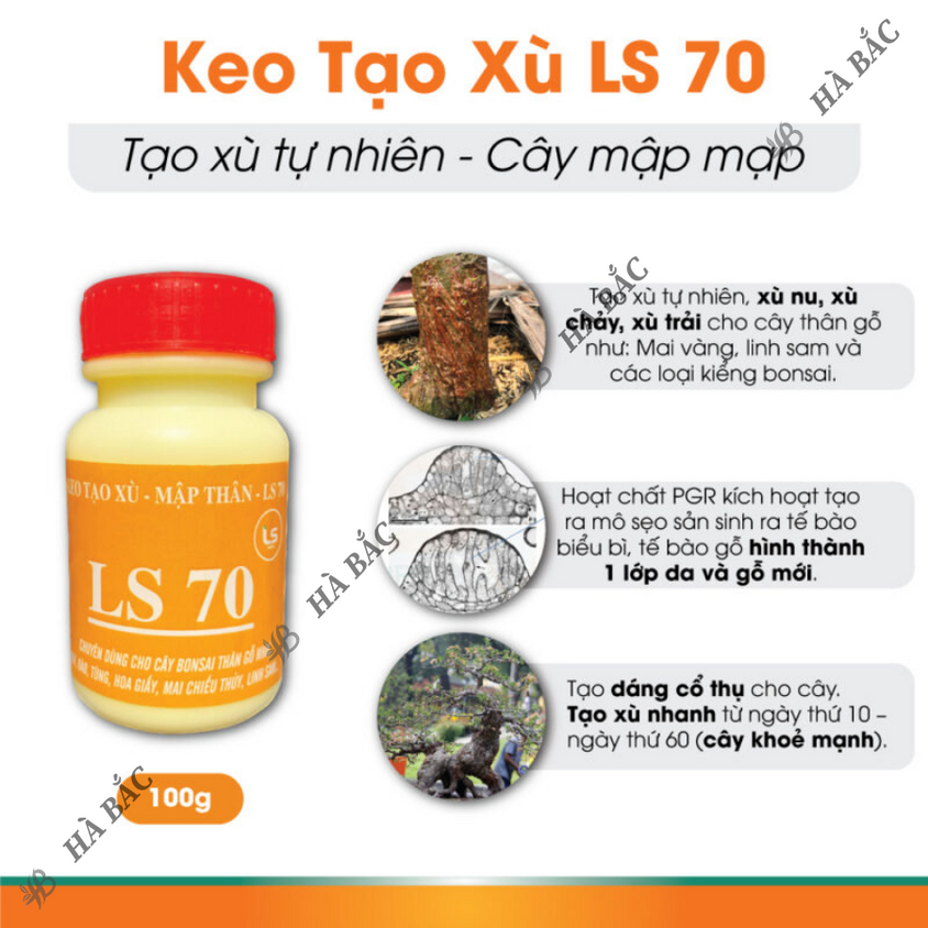 Keo liền sẹo liền da LS50, LS60, LS70 dùng cho cây trồng - Diệt khuẩn tốt kéo sẹo nhanh (25gr, 100gr)