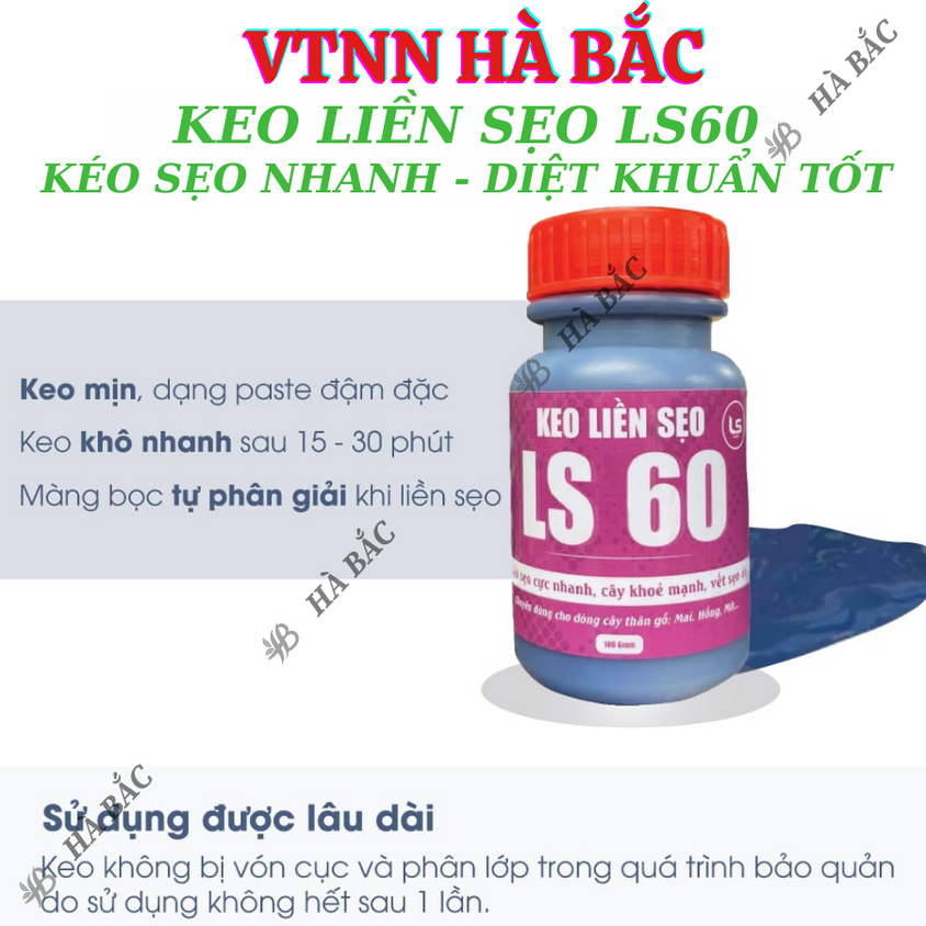 Keo liền sẹo liền da LS50, LS60, LS70 dùng cho cây trồng - Diệt khuẩn tốt kéo sẹo nhanh (25gr, 100gr)