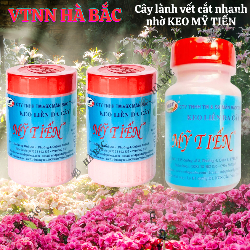 Keo liền da cây - keo liền sẹo - thuốc hỗ trợ chiết cành Mỹ Tiến hũ màu hồng (100gr, 225gr), chế phẩm bảo vệ thực vật