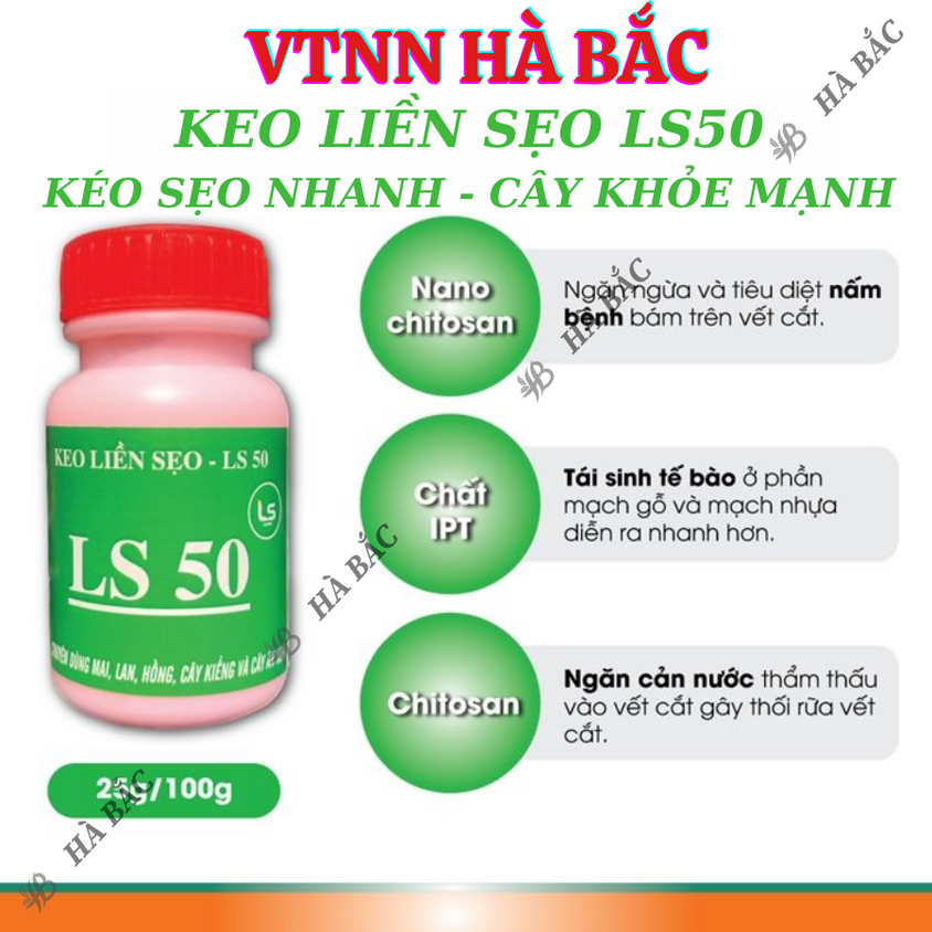 Keo liền sẹo liền da LS50, LS60, LS70 dùng cho cây trồng - Diệt khuẩn tốt kéo sẹo nhanh (25gr, 100gr)