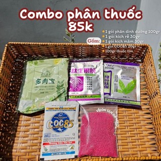 Combo phân thuốc dùng cho sen đá và xương rồng có sẵn tại vườn MẦM NẮNG GARDEN