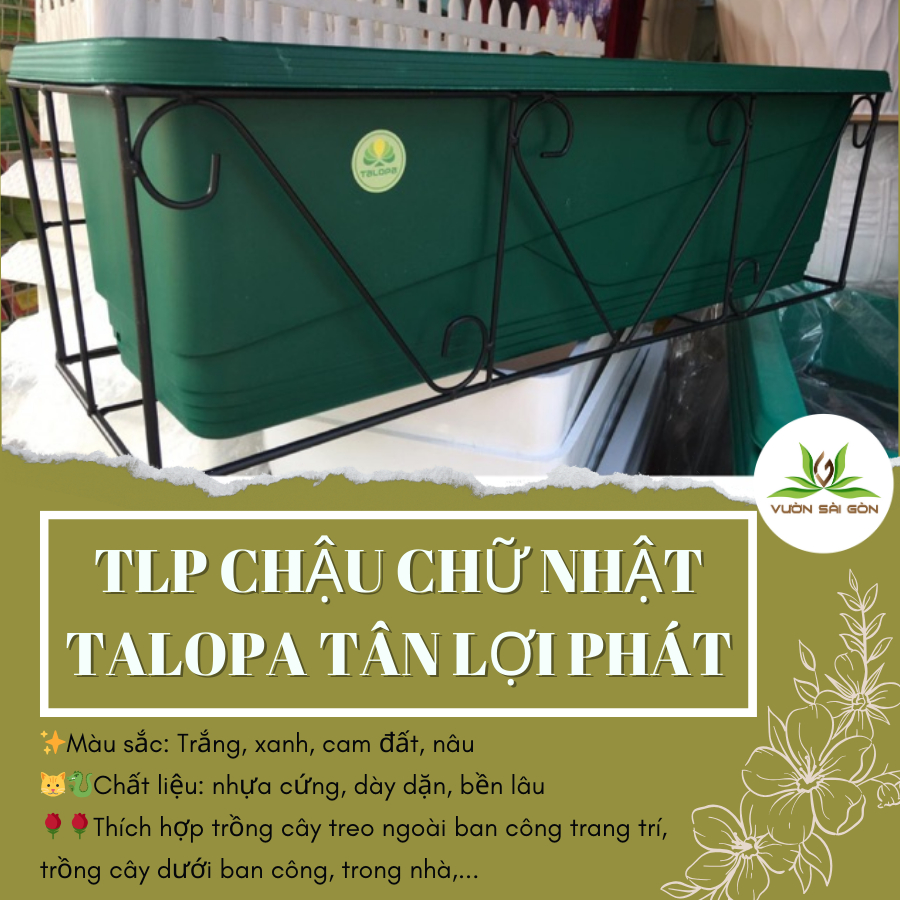 TLP Chậu chữ nhật TALOPA Tân Lợi Phát 4