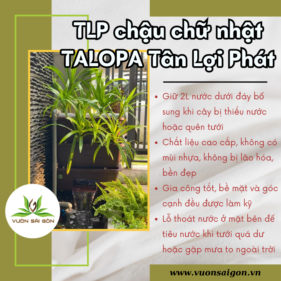 TLP Chậu chữ nhật TALOPA Tân Lợi Phát 3