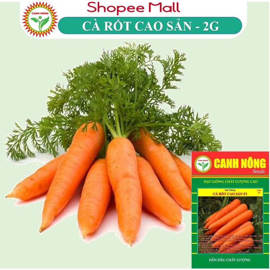 Hạt giống Cà Rốt Cao Sản F1 (2g~1000 hạt) củ to, dài, sinh trưởng khỏe, trồng quanh năm - Hạt giống CANH NÔNG