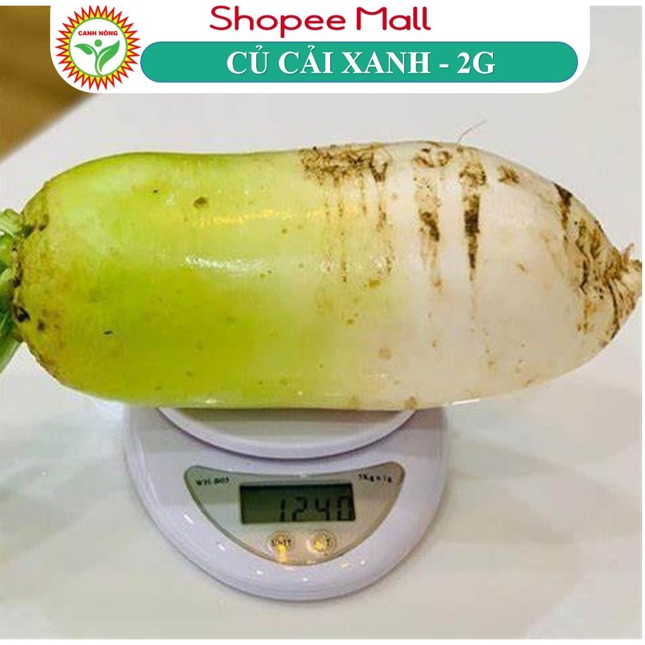 Hạt giống Hàn Quốc - Hạt Ciống Củ Cải Xanh Hàn Quốc - tỷ lệ nảy mầm 99% Hạt Giống CANH NÔNG