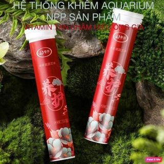 Viên Nén VITAMIN kích rễ cho cây