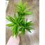 cây giả nhân tạo - cây thuỷ trúc 3 nhánh 60cm