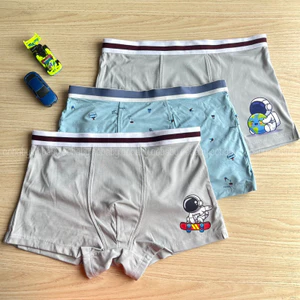 Hộp 3 quần lót bé trai cotton hipster, sợi tre cao cấp Cò Baby