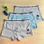 Hộp 3 quần lót bé trai cotton hipster, sợi tre cao cấp Cò Baby