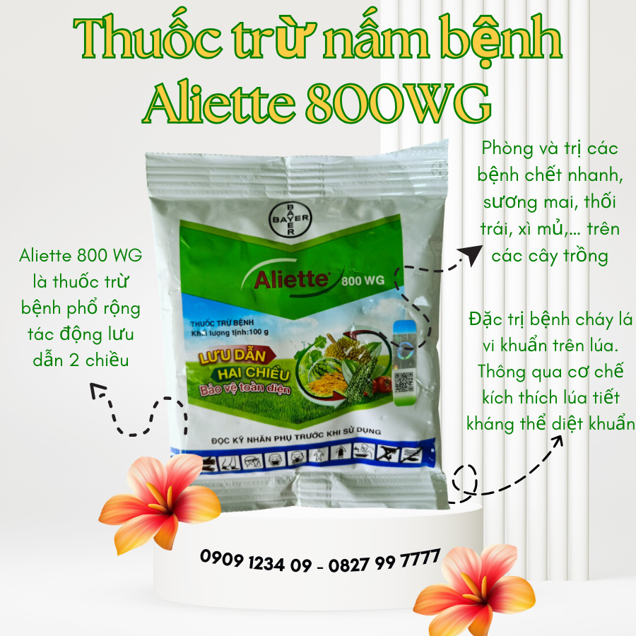 Thuốc Aliette 800WG - thuốc trừ bệnh cây 3