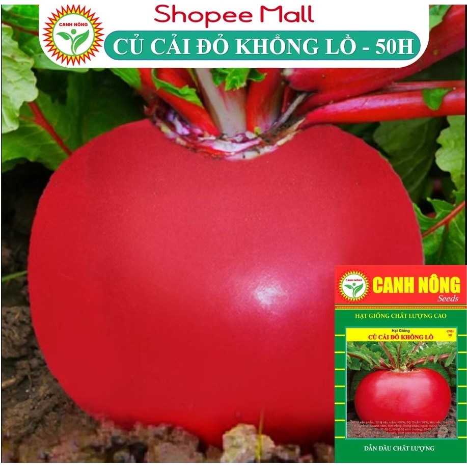 Hạt Giống Củ Cải Tròn Đỏ Khổng Lồ Giống Đẹp Mắt Giàu Dinh Dưỡng Thích Hợp Trồng Tết - Hạt Giống CANH NÔNG
