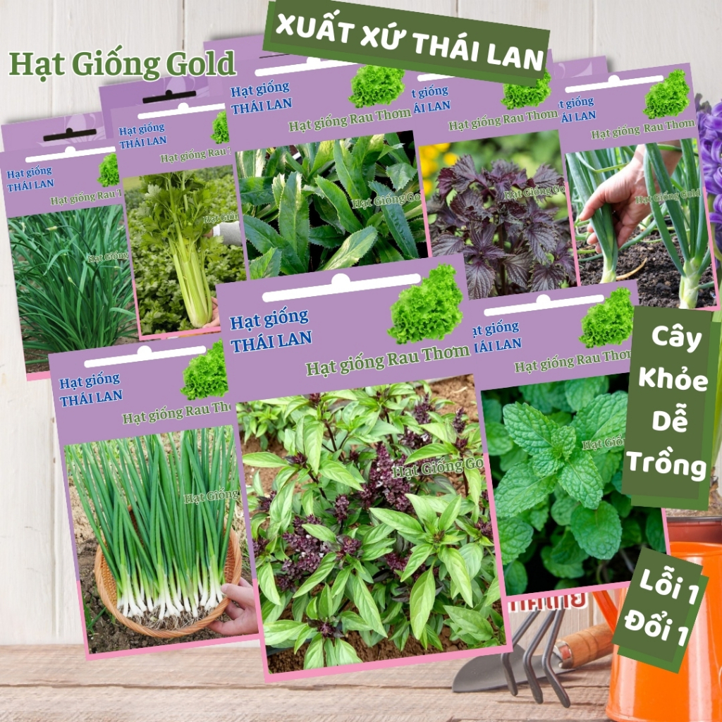 Hạt giống rau thơm Thái Lan nảy mầm cao cây khỏe kháng bệnh chịu hạn ...
