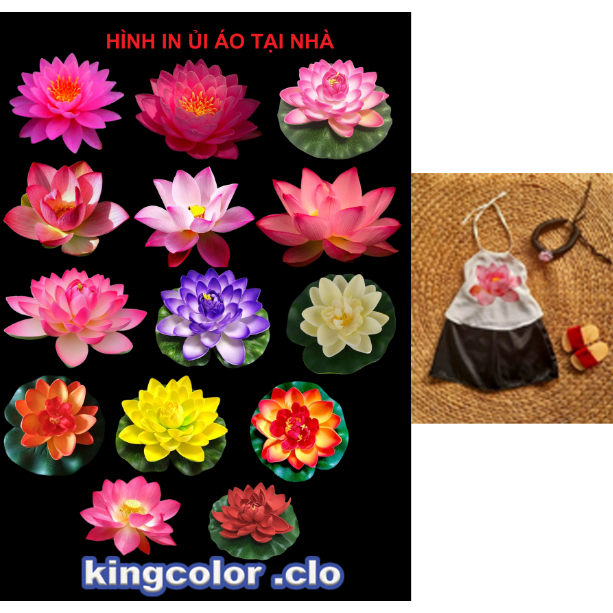 (HÌNH ủi nhiệt)-MIẾNG VÁ THỜI TRANG-TRANG TRÍ TRANG QUẦN ÁO,ÁO DÀI,ÁO YẾM,VẾT RÁCH...-ỦI TRỰC TIẾP TẠI NHÀ BẰNG BÀN ỦI