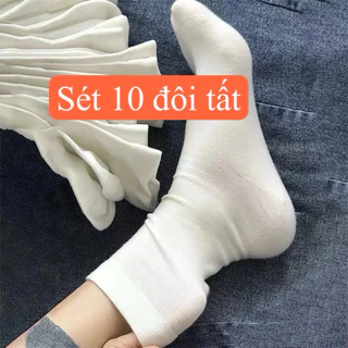 sét 10 đôi tất trơn hàn quốc chất liệu coton co dãn 4 chiều