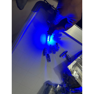 Bóng led T10 không nháy. Bóng cắm đờ mi led không nháy các màu cực đẹp.