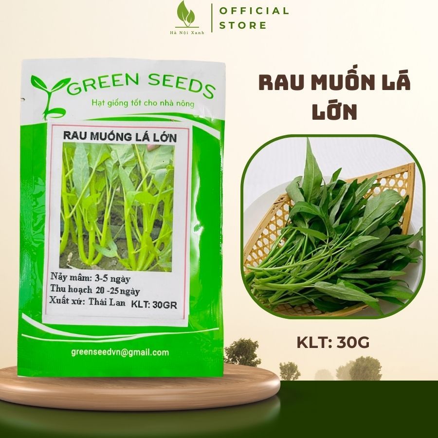 Hạt giống Rau Muống Lá Lớn hạt giống rau củ quả trồng quanh năm, hạt ...
