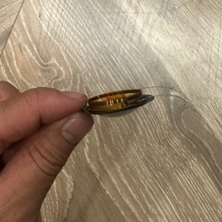 Coil Treble dĩa tròn 25,5 harman kardon