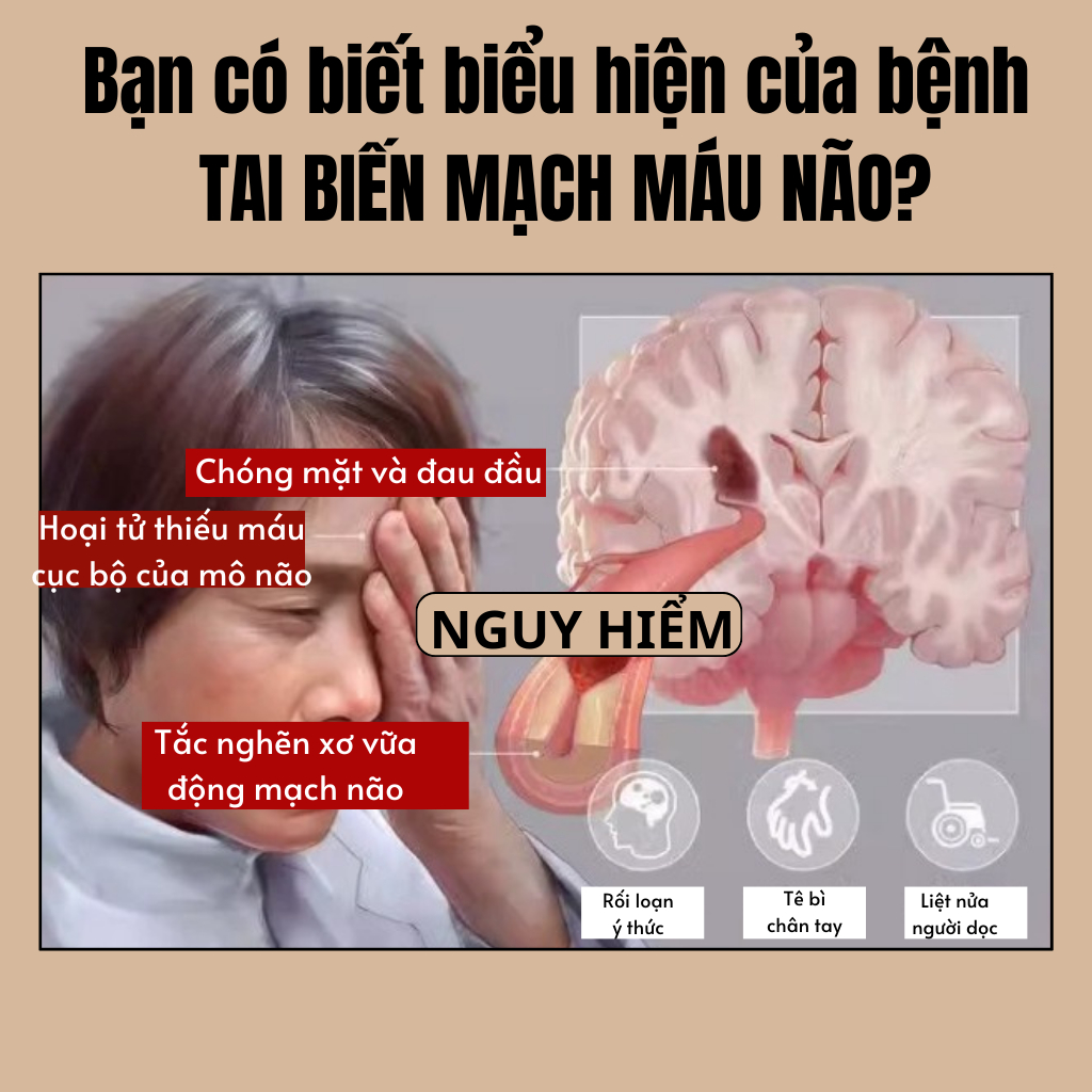 Trà an cung dưỡng não , phòng ngừa đột quỵ, phòng chống nguy cơ đông máu bịch 30 gói lọc