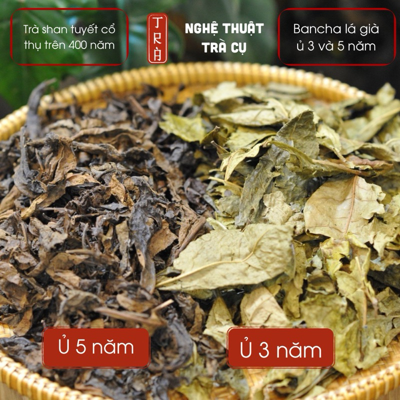 Trà ban cha ủ 3 năm, 2 năm từ cây trà cổ thụ shan tuyết trên 400 tuổi vùng Hà Giang đóng gói 100gr