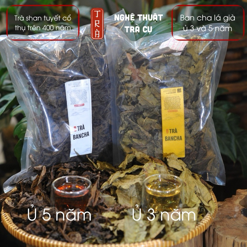 Trà ban cha ủ 3 năm, 2 năm từ cây trà cổ thụ shan tuyết trên 400 tuổi vùng Hà Giang đóng gói 100gr