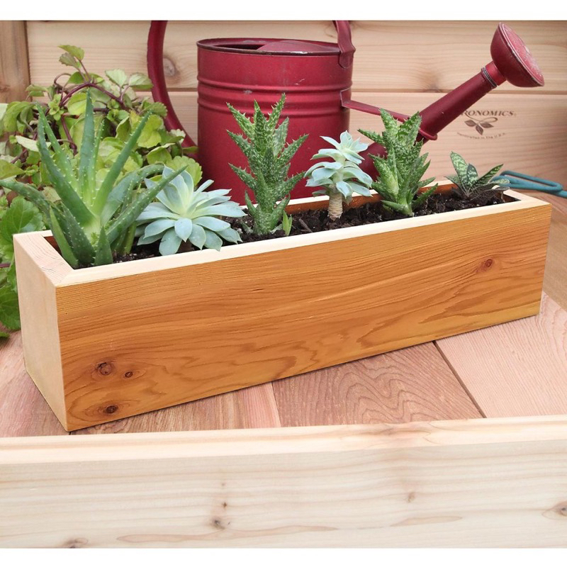 Chậu Gỗ Thông Chữ Nhật cao 10cm Trồng Cây Cảnh, Sen Đá - Chậu Decor Bàn Làm Việc Nhiều Kích Thước - TC Home