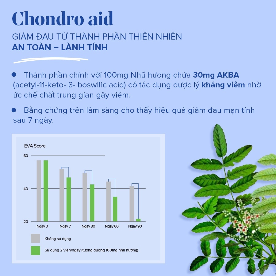 Ảnh HSD 10.2025 - Viên uống hỗ trợ xương khớp chứa chiết xuất nhũ hương cô đặc Arkopharma 60 viên/hộp 3