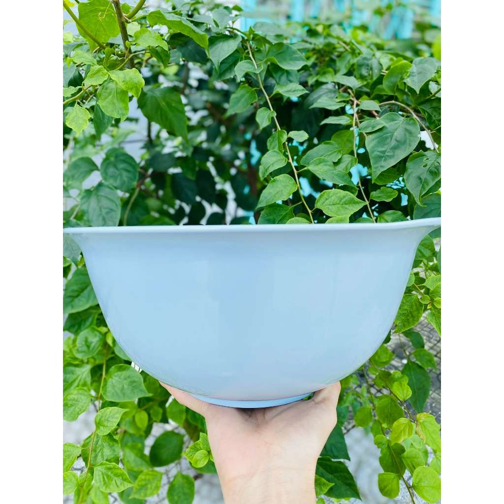 Thau đựng thực phẩm cao cấp Yoko INOCHI size 23cm-30cm-35cm