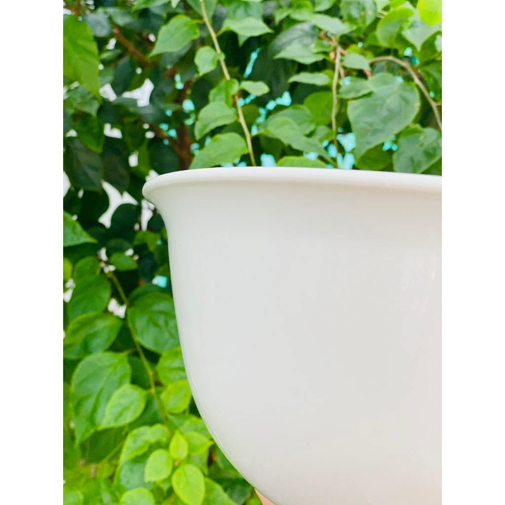 Thau đựng thực phẩm cao cấp Yoko INOCHI size 23cm-30cm-35cm