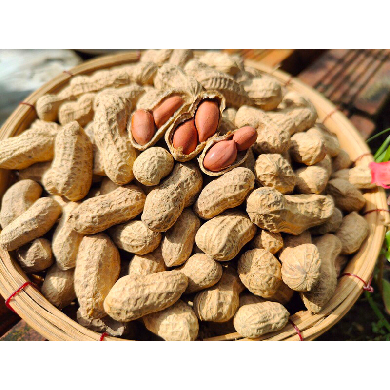 Đậu phộng rang Củ Chi nguyên vỏ túi 500gr | Shopee Việt Nam