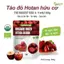 Táo đỏ Hotan hữu cơ - Táo đỏ Tân Cương - Organic Dried Hotan Jujube