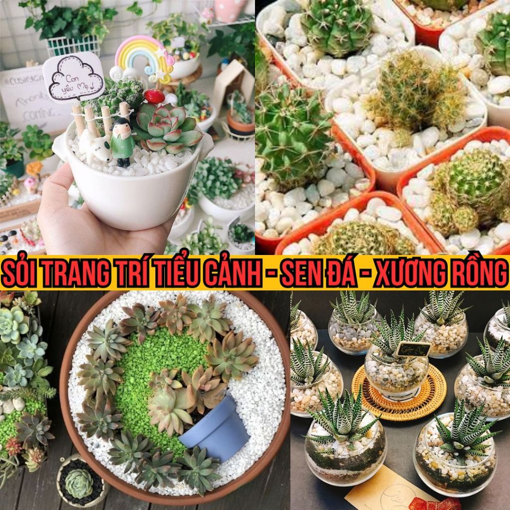 Lý do nên chọn mua sỏi đá trắng Vườn Sài Gòn