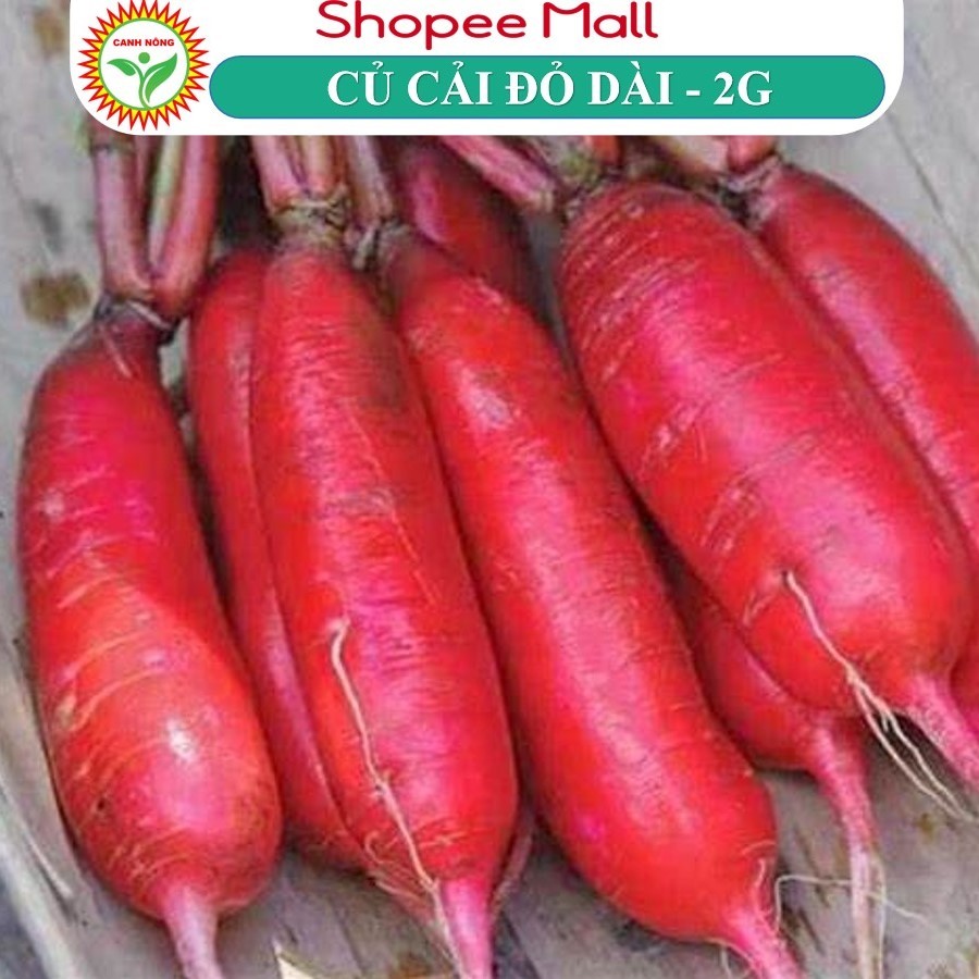 Hạt giống Củ Cải Đỏ Dài (2g~200 hạt) giống củ dài, giòn, ngọt, trồng quanh năm - Hạt giống CANH NÔNG