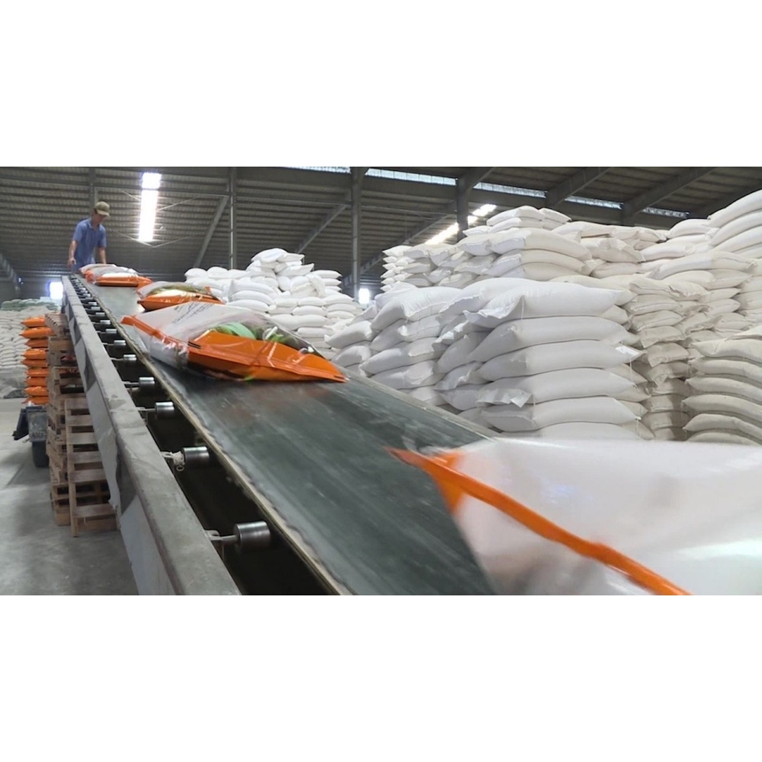10kg Lài Miên CPC nhập khẩu | Shopee Việt Nam