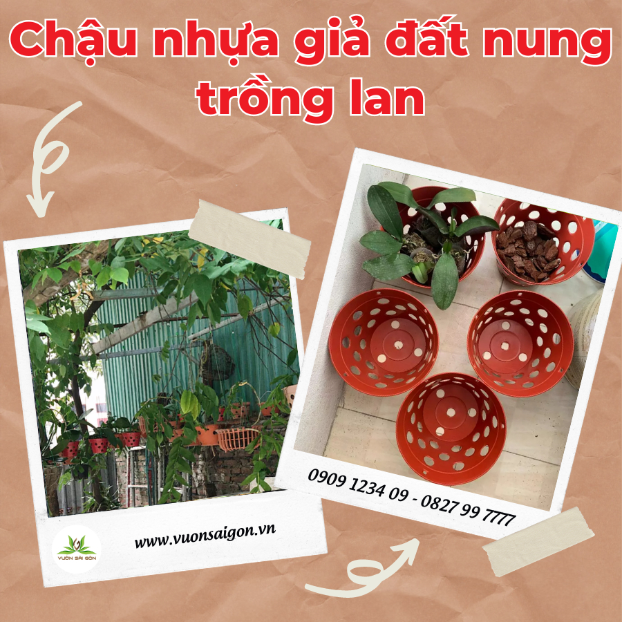 Chậu nhựa giả đất nung trồng lan 9