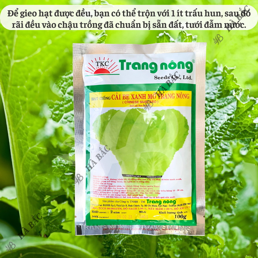 Hạt giống Cải xanh Trang Nông (100gram), hạt giống nảy mầm tốt, năng suất cao, trông quanh năm - Hạt giống Hà Bắc