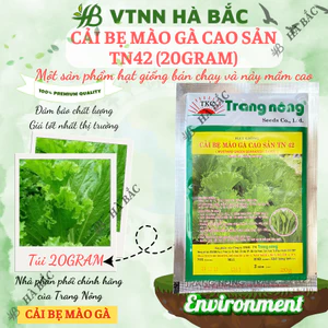 Hạt giống Cải Bẹ Mào Gà Cao Sản TN42 Trang Nông (20gram), hạt giống nảy mầm tốt, năng suất cao, trông quanh năm