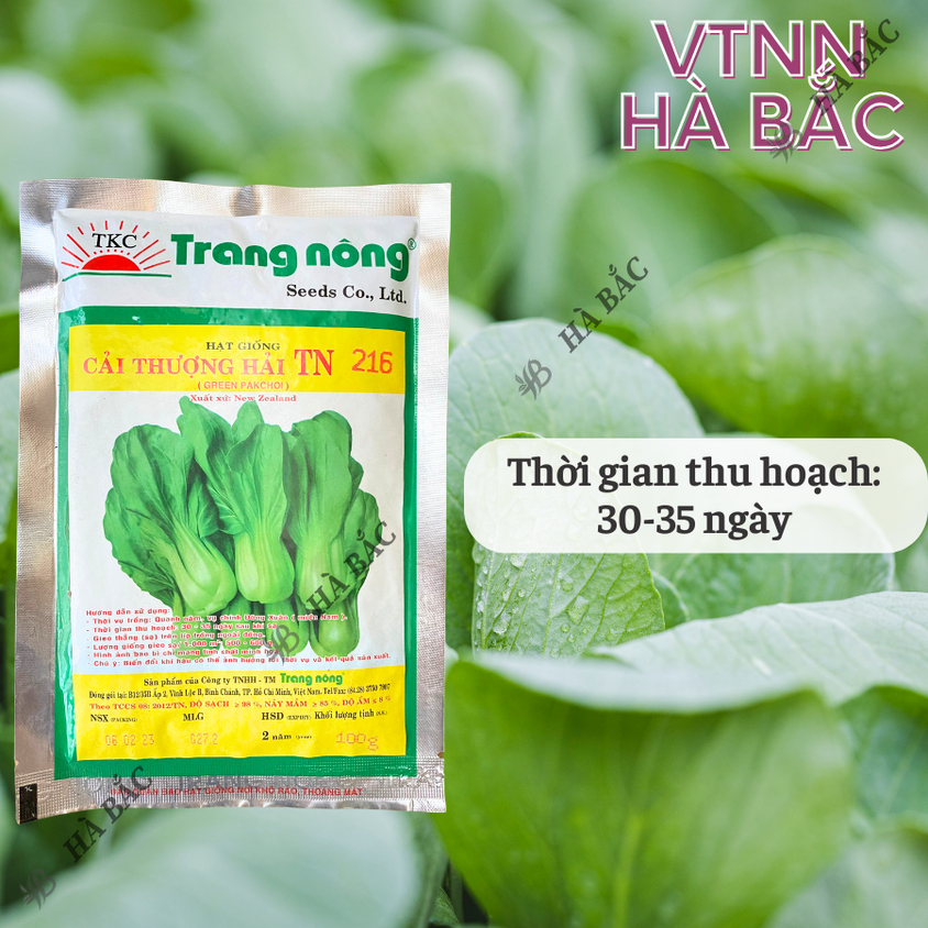 Cải thìa thượng hải TN216 Trang Nông (100gram), hạt giống nảy mầm tốt, năng suất cao, trông quanh năm - Hạt giống Hà Bắc