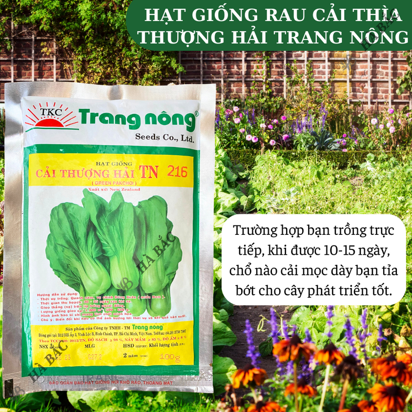 Cải thìa thượng hải TN216 Trang Nông (100gram), hạt giống nảy mầm tốt, năng suất cao, trông quanh năm - Hạt giống Hà Bắc