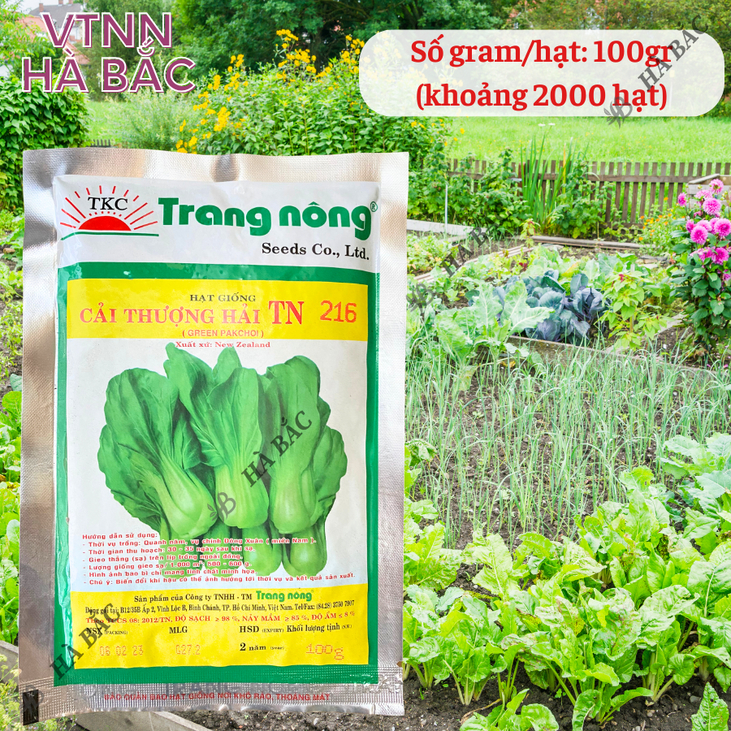 Cải thìa thượng hải TN216 Trang Nông (100gram), hạt giống nảy mầm tốt, năng suất cao, trông quanh năm - Hạt giống Hà Bắc